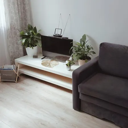 Na Szewskiej Przy Rynku I Jarmarku Bozonarodzeniowym Wrocław