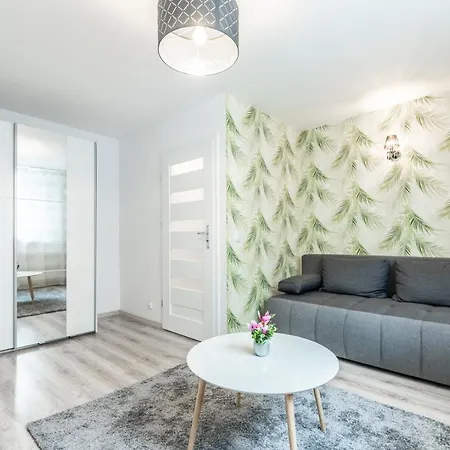 Na Szewskiej Przy Rynku I Jarmarku Bozonarodzeniowym Apartment *