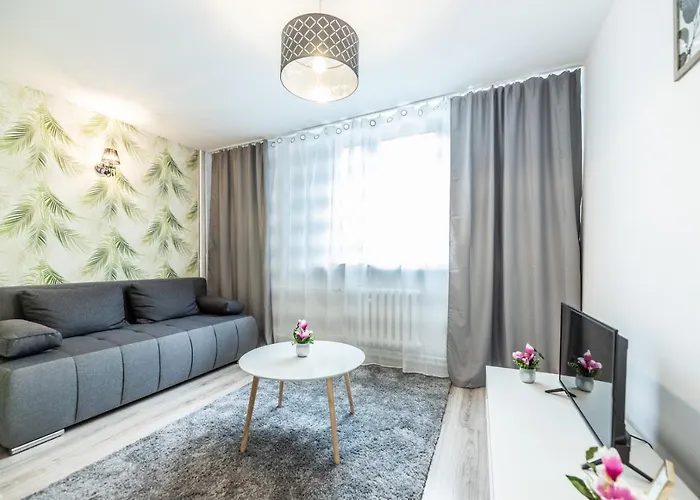 Na Szewskiej Przy Rynku I Jarmarku Bozonarodzeniowym * Wrocław